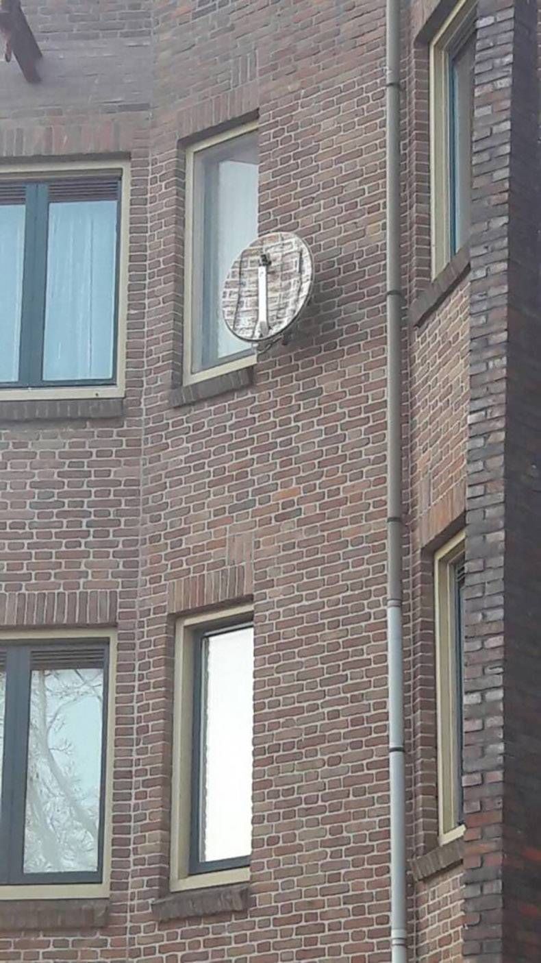Gewoon een verzameling hilarische foto's #1008