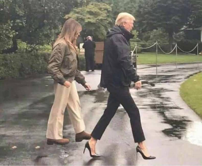 Gewoon een verzameling hilarische foto's #862