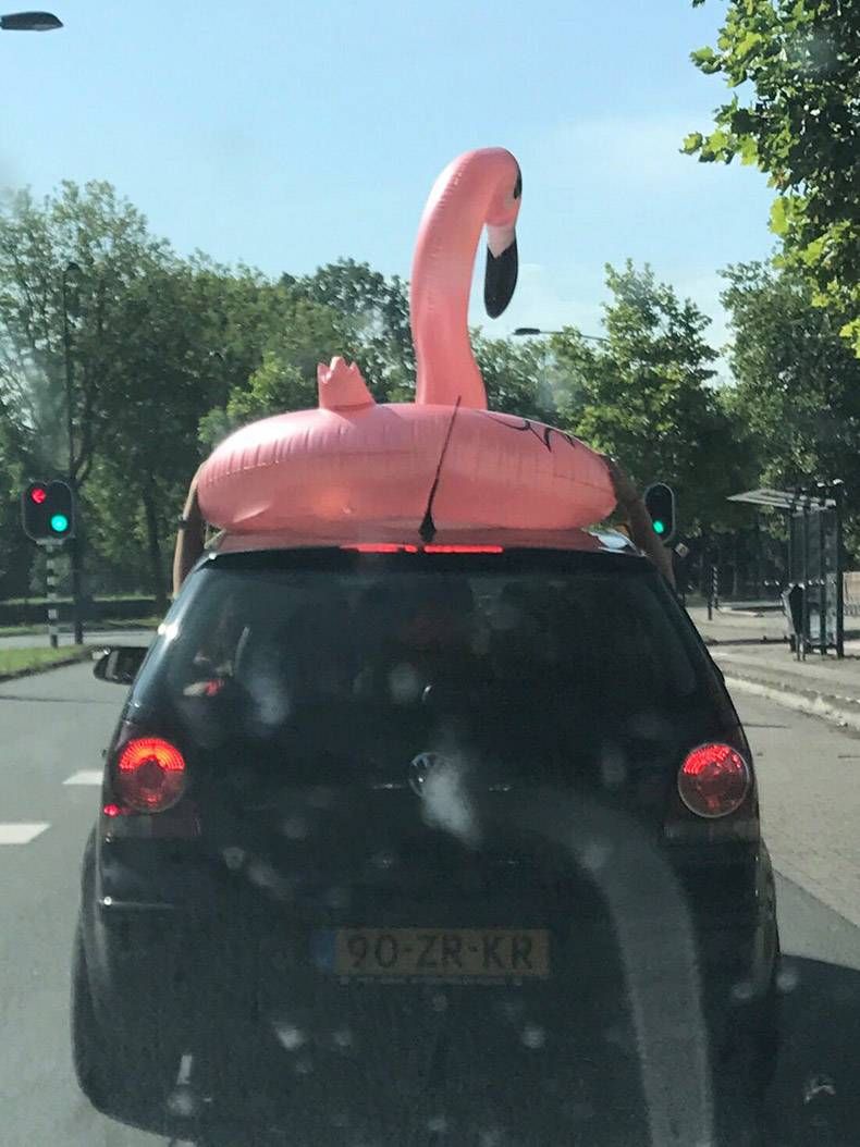 Gewoon een verzameling hilarische foto's #844