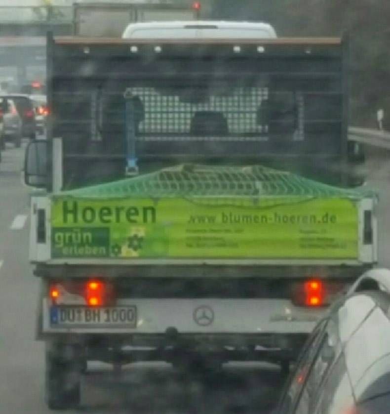 Gewoon een verzameling hilarische foto's #774