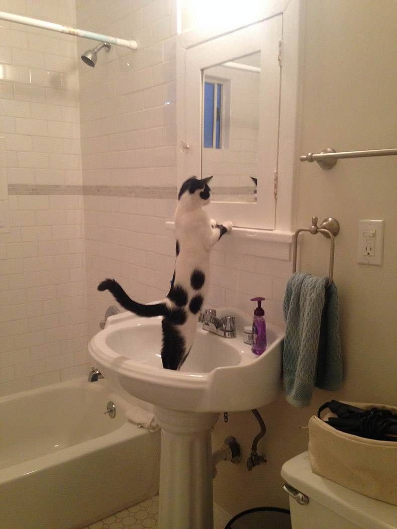 Gewoon een verzameling hilarische foto's #1149