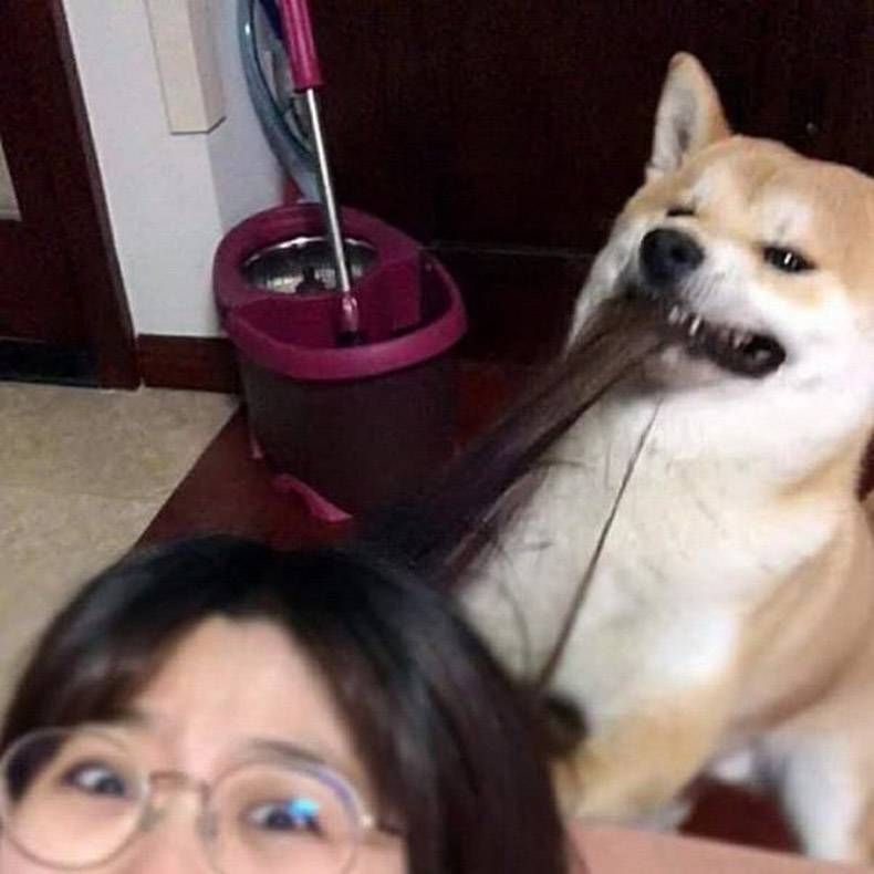 Gewoon een verzameling hilarische foto's #1217