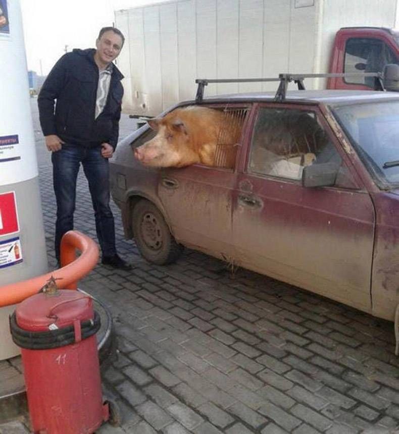 Gewoon een verzameling hilarische foto's #805