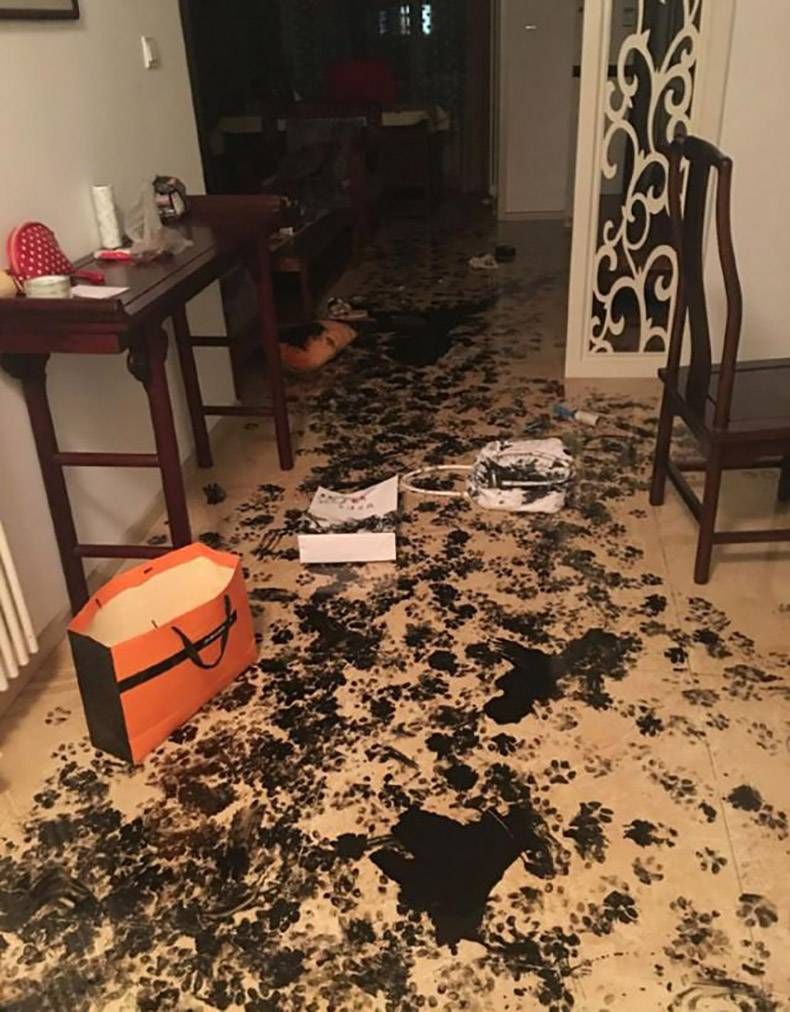 Gewoon een verzameling hilarische foto's #789