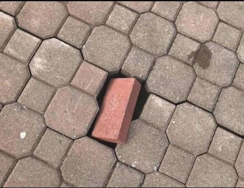 Gewoon een verzameling hilarische foto's #1298