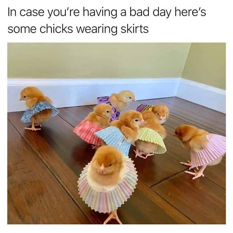 Gewoon een verzameling hilarische foto's #1268