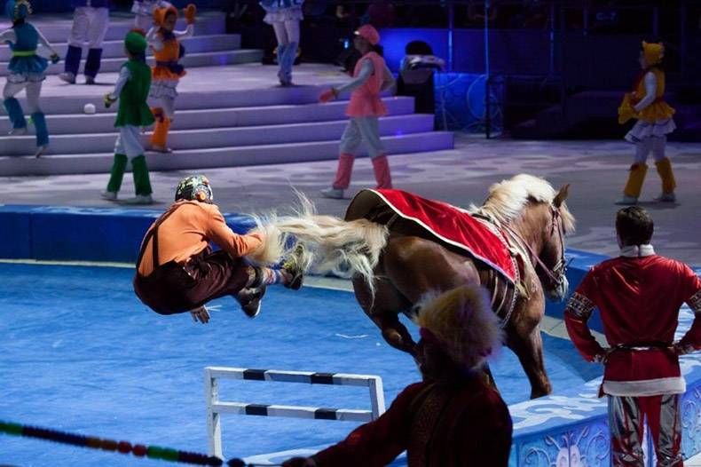 Gewoon een verzameling hilarische foto's #896