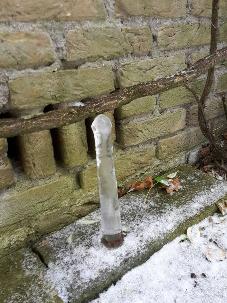 Gewoon een verzameling hilarische foto's #760