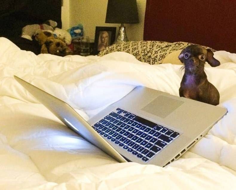 Gewoon een verzameling hilarische foto's #1158