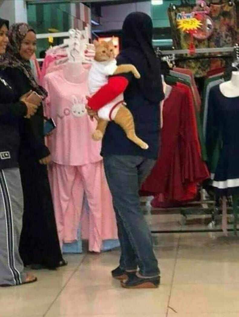 Gewoon een verzameling hilarische foto's #1079