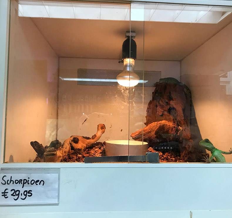 Gewoon een verzameling hilarische foto's #973