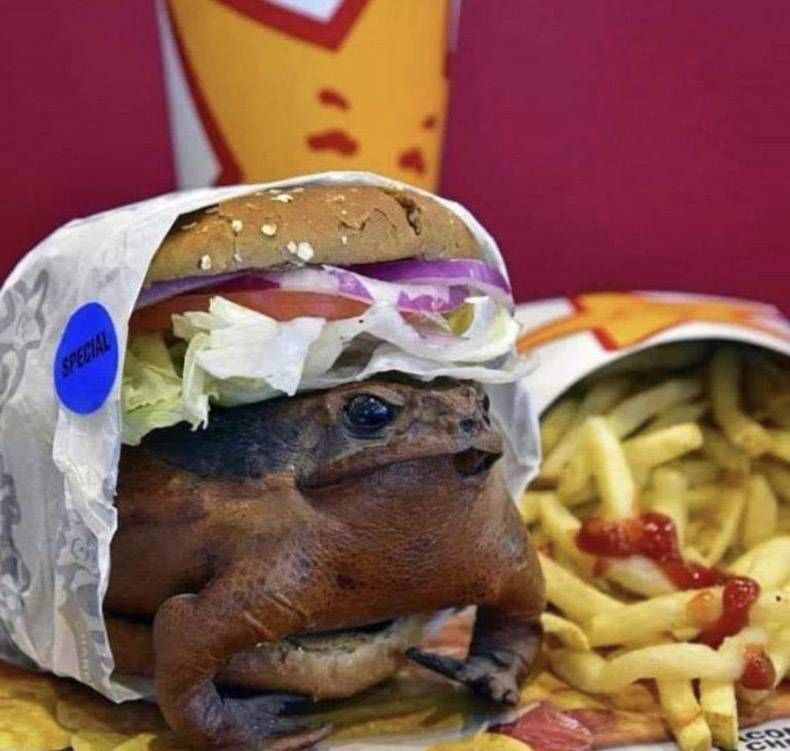 Gewoon een verzameling hilarische foto's #1201