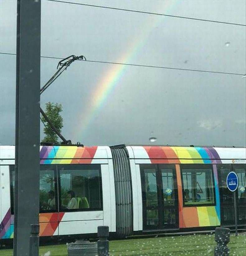 Gewoon een verzameling hilarische foto's #1038