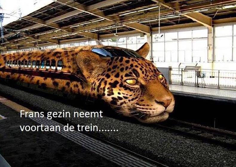 Gewoon een verzameling hilarische foto's #970