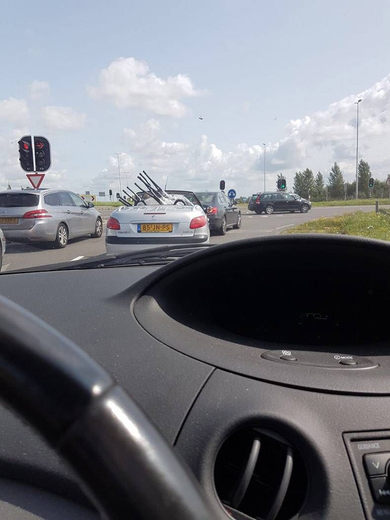 Gewoon een verzameling hilarische foto's #856