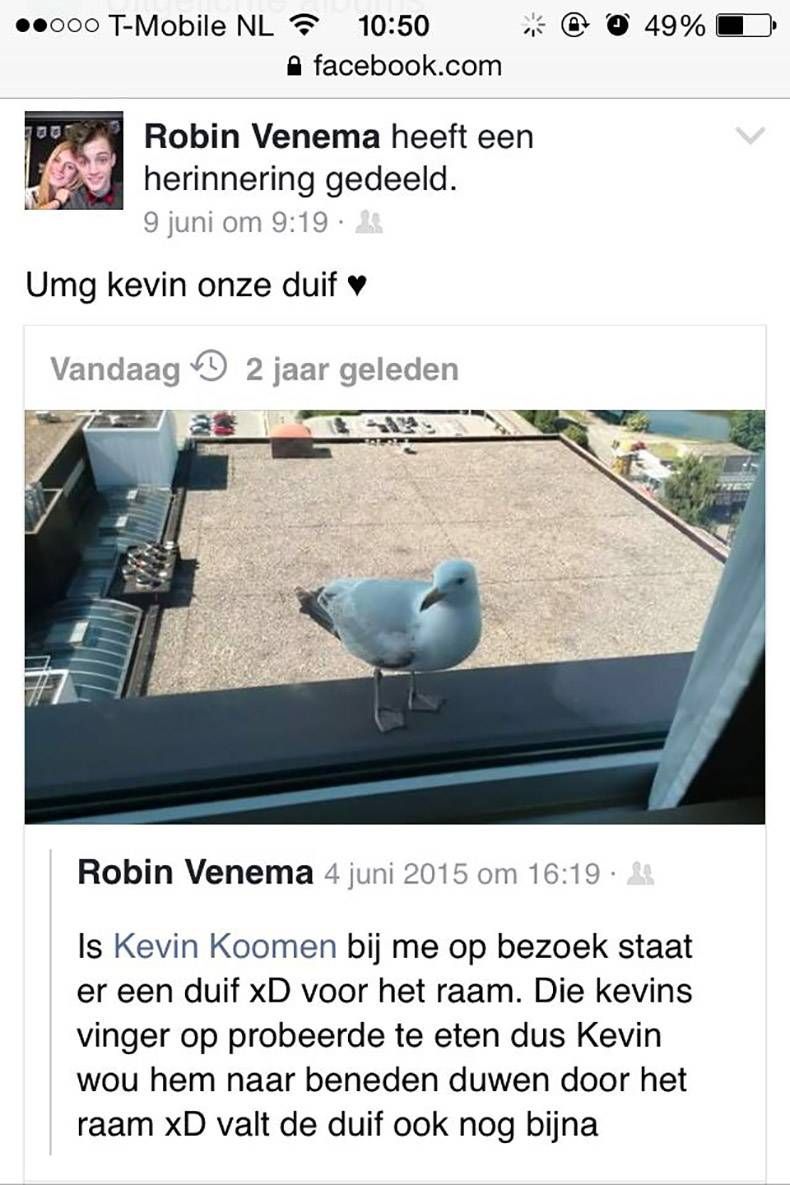Gewoon een verzameling hilarische foto's #826