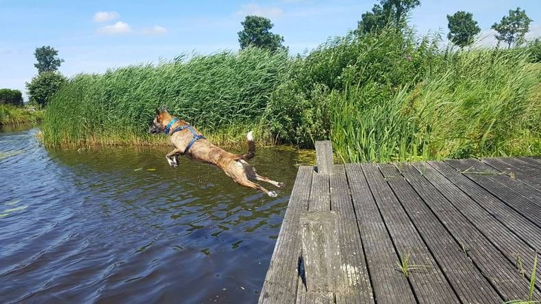 Gewoon een verzameling hilarische foto's #748