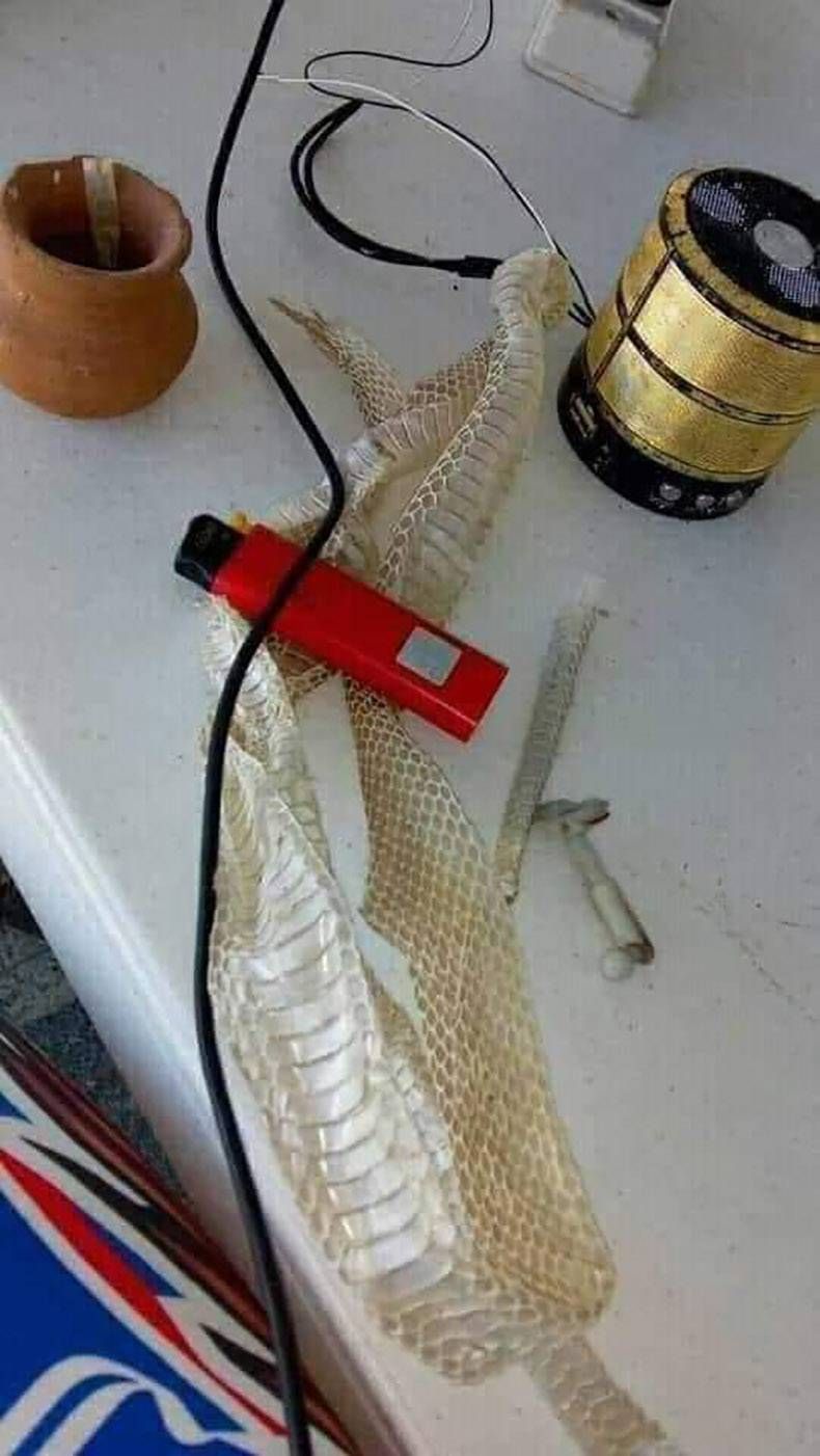 Gewoon een verzameling hilarische foto's #1264