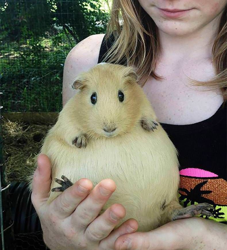 Gewoon een verzameling hilarische foto's #1008