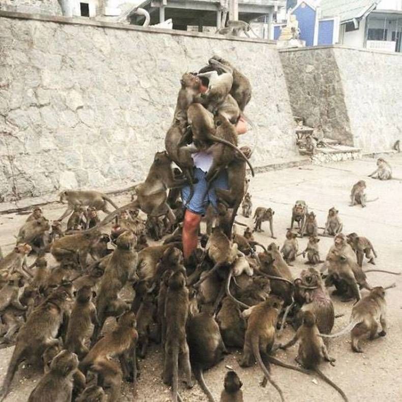 Gewoon een verzameling hilarische foto's #985