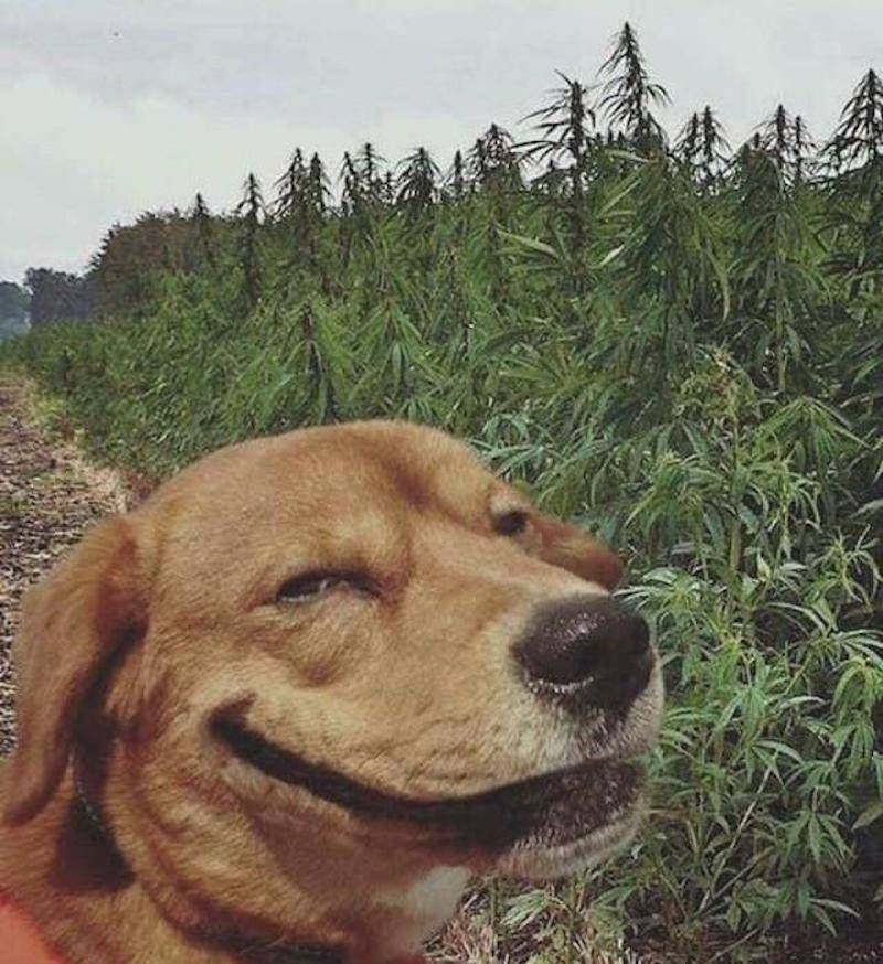 Gewoon een verzameling hilarische foto’s #1107