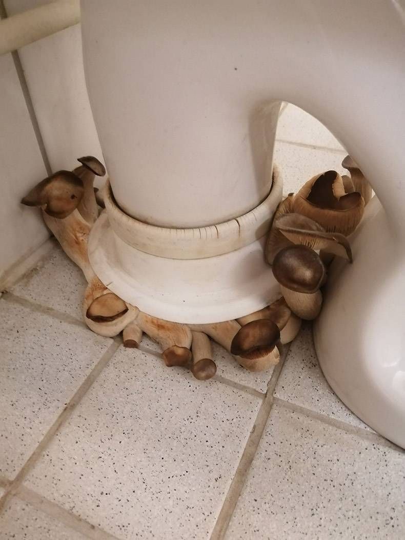 Gewoon een verzameling hilarische foto's #1360