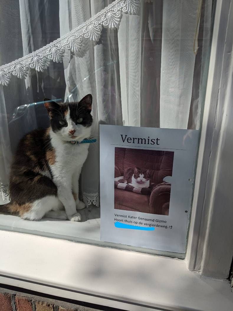 Gewoon een verzameling hilarische foto's #1183
