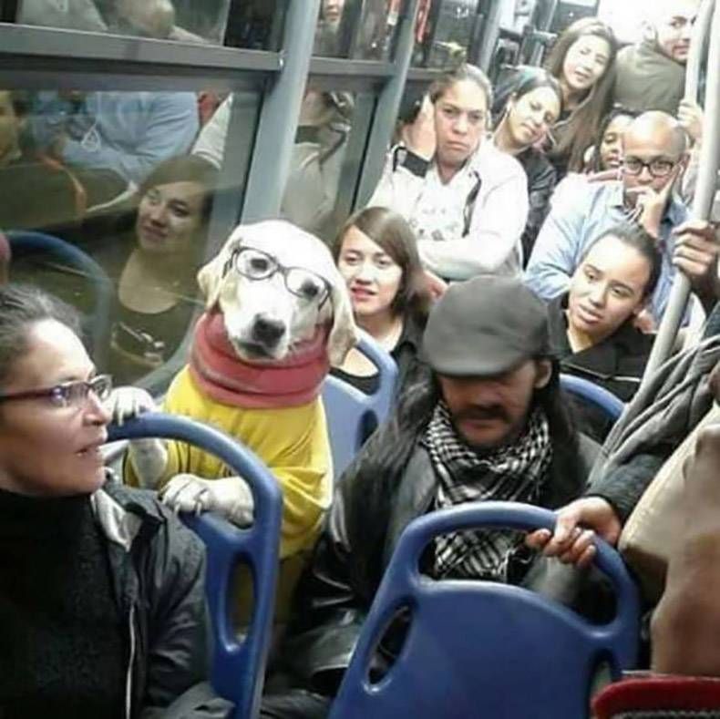 Gewoon een verzameling hilarische foto's #975