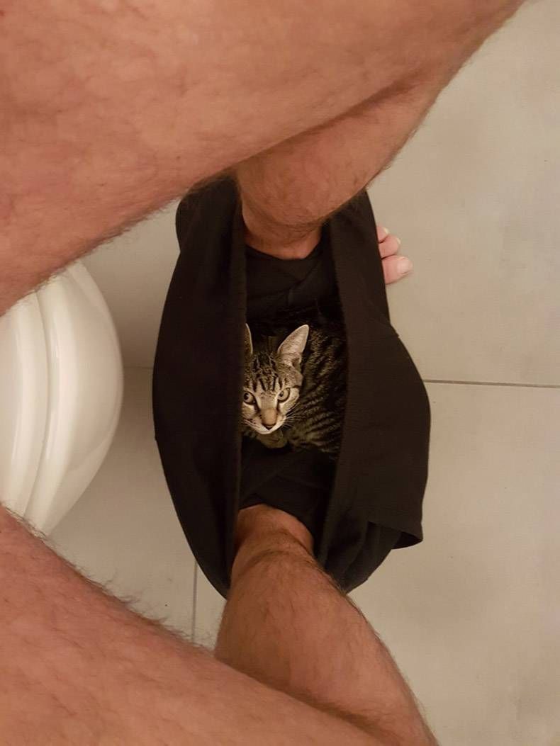 Gewoon een verzameling hilarische foto's #879