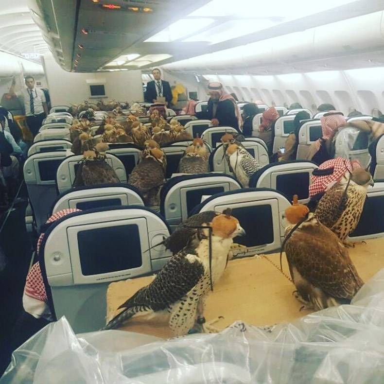Gewoon een verzameling hilarische foto's #769