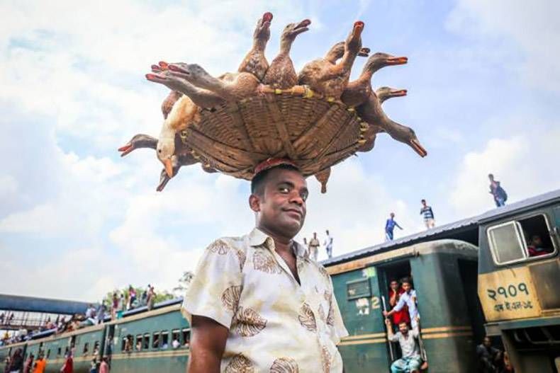 Gewoon een verzameling hilarische foto's #985