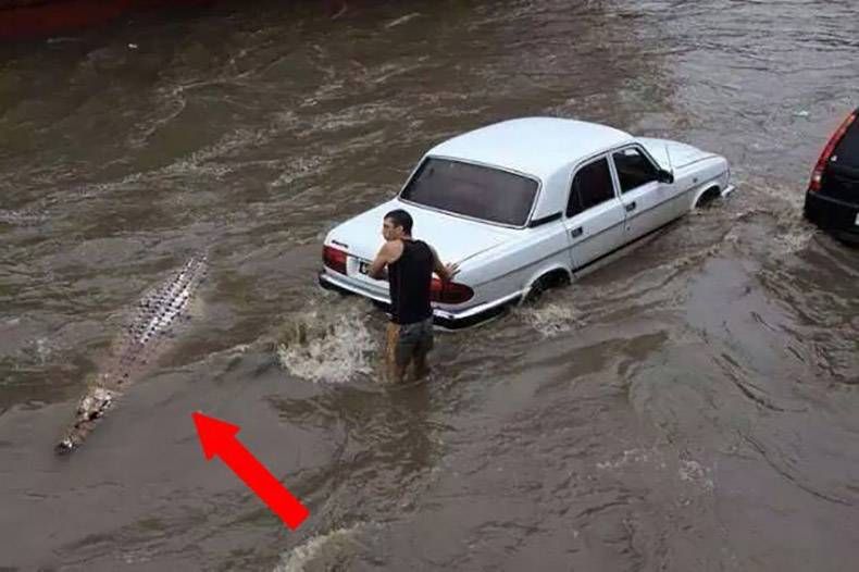 Gewoon een verzameling hilarische foto's #982