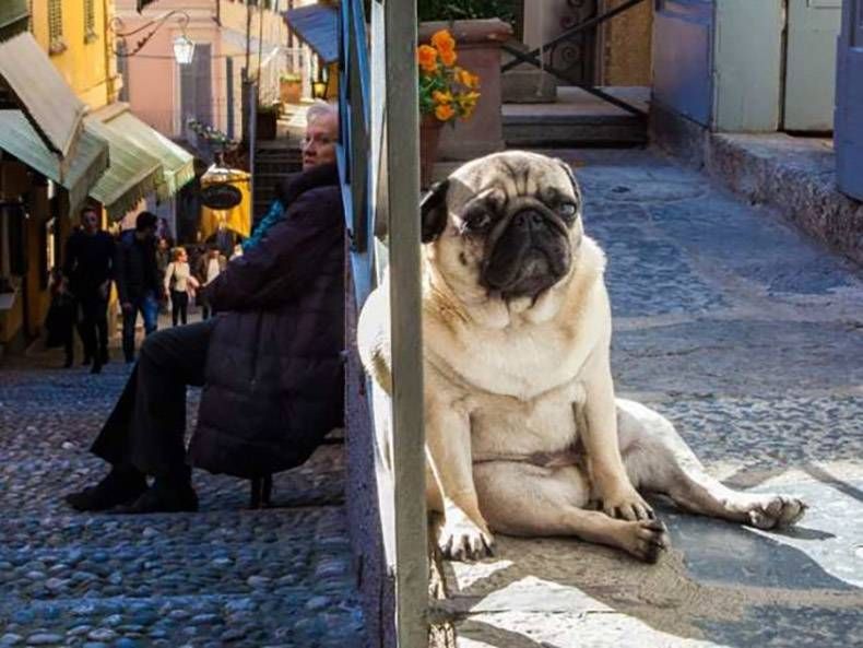 Gewoon een verzameling hilarische foto's #765