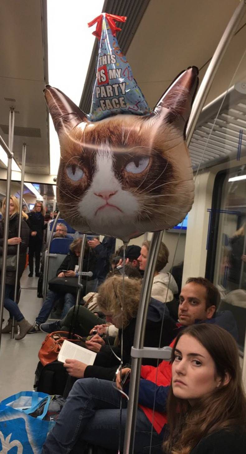 Gewoon een verzameling hilarische foto's #739