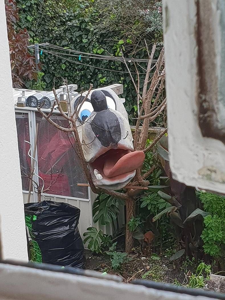 Gewoon een verzameling hilarische foto's #1011