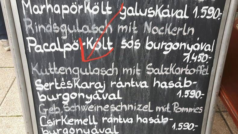 Gewoon een verzameling hilarische foto's #892