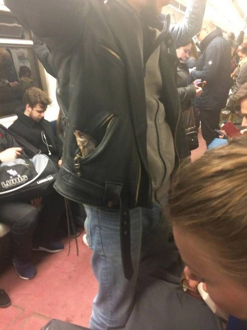 Gewoon een verzameling hilarische foto's #812