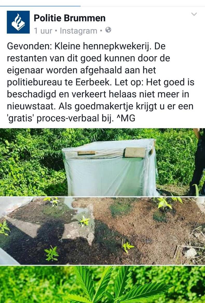 Gewoon een verzameling hilarische foto's #701