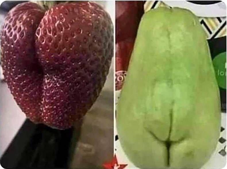 Gewoon een verzameling hilarische foto's #1376