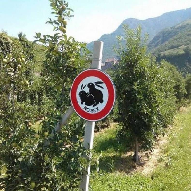 Gewoon een verzameling hilarische foto's #1038