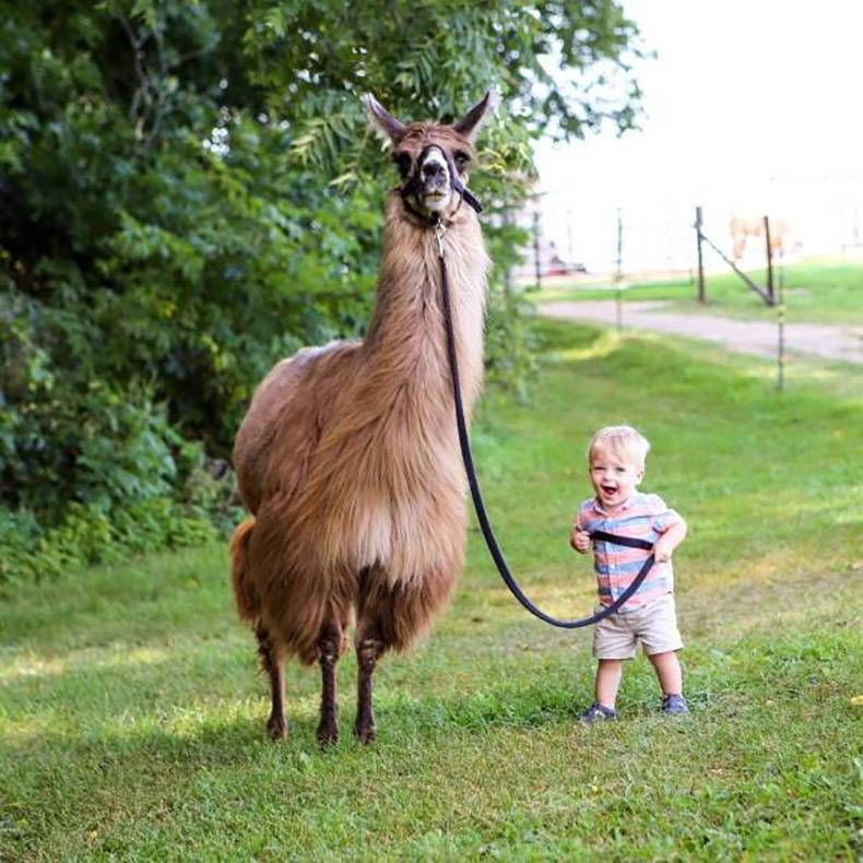 Gewoon een verzameling hilarische foto's #1014