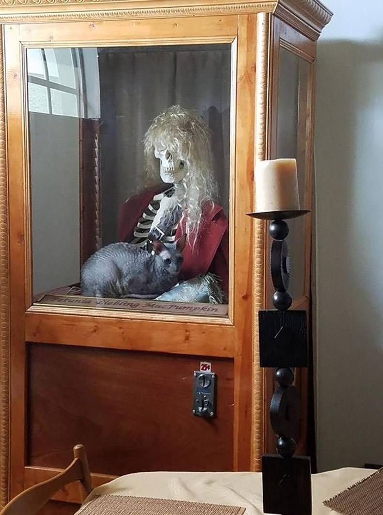 Gewoon een verzameling hilarische foto's #990