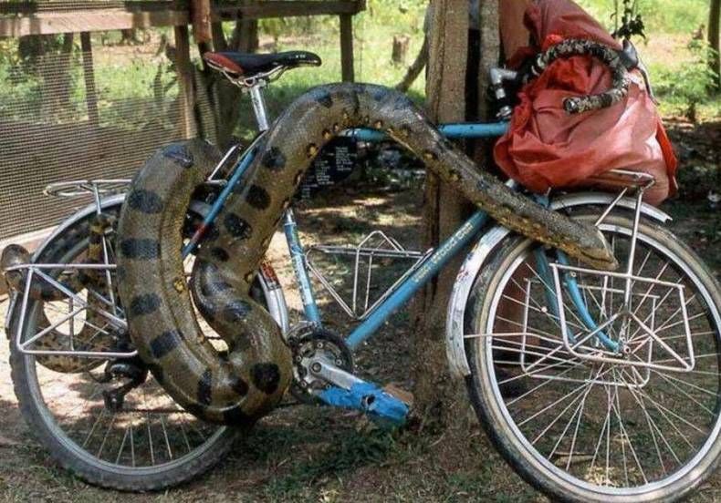 Gewoon een verzameling hilarische foto's #748