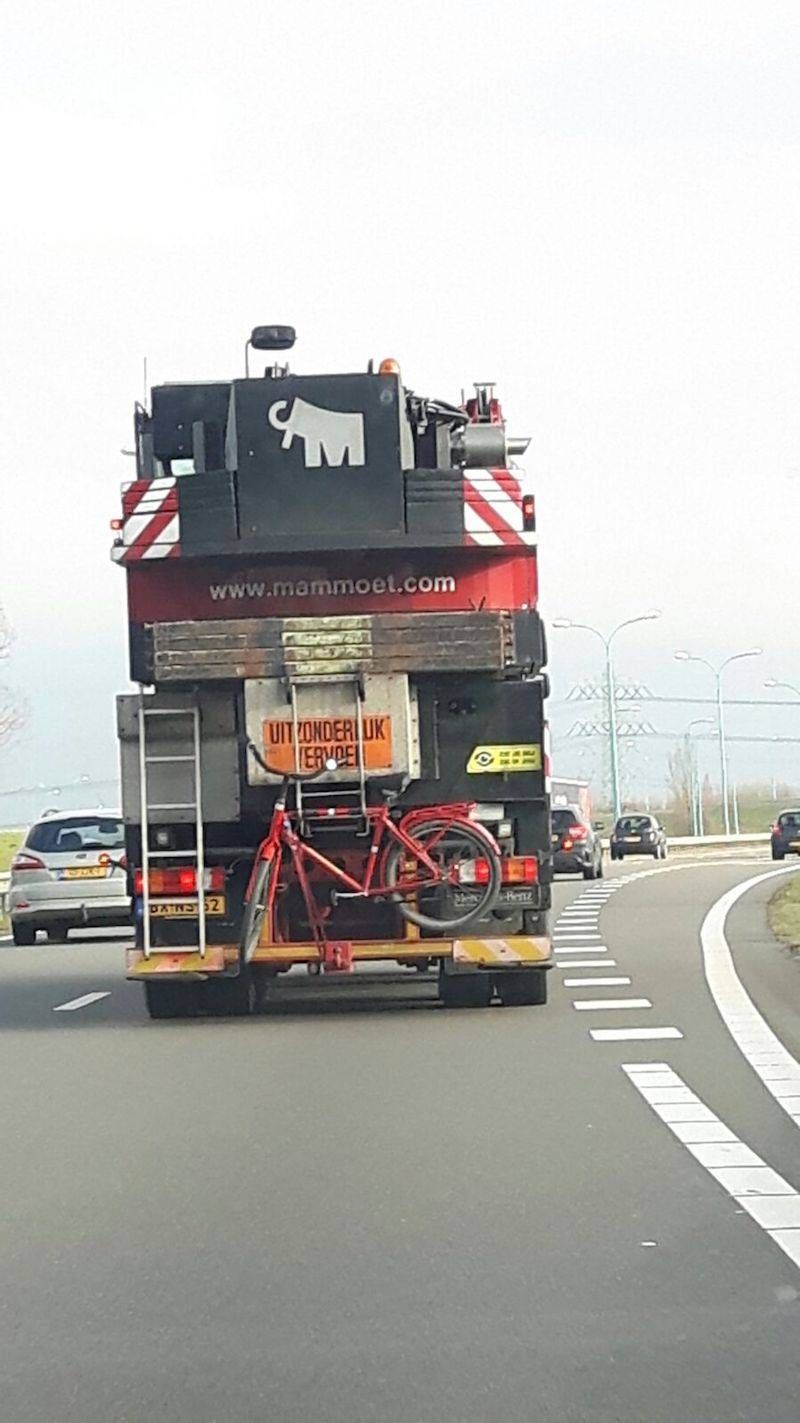 Gewoon een verzameling hilarische foto’s #949