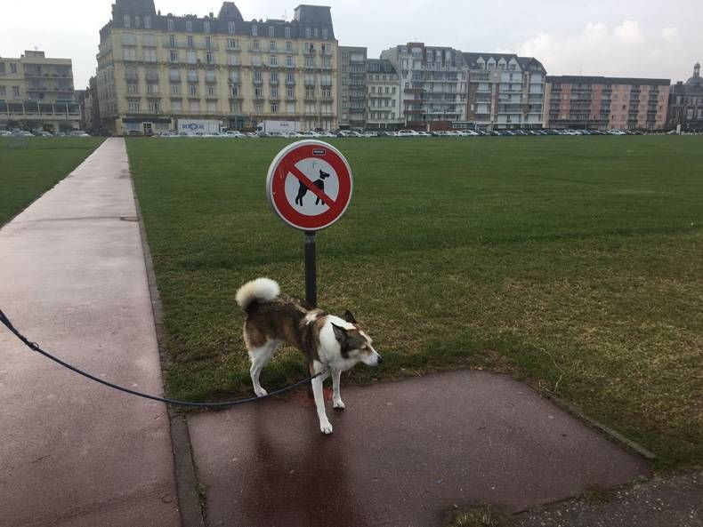 Gewoon een verzameling hilarische foto's #713