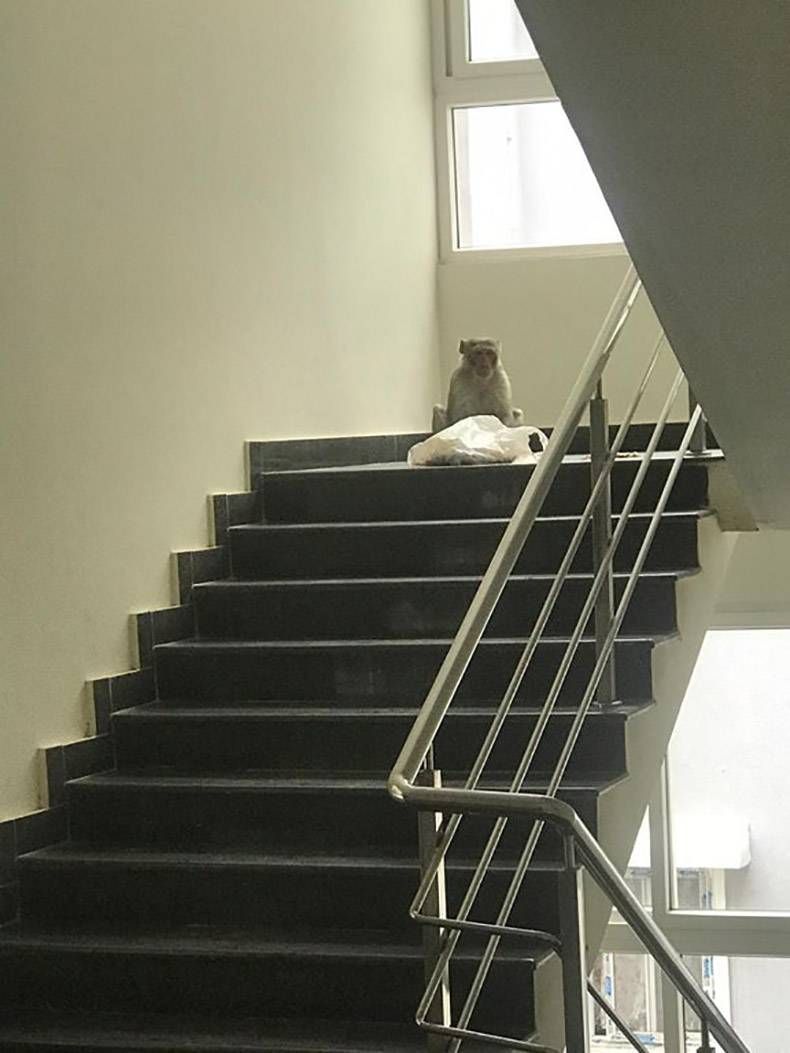 Gewoon een verzameling hilarische foto's #1357