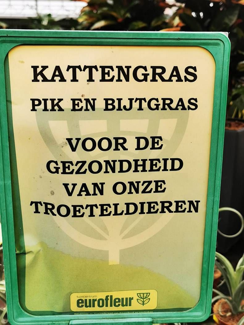 Gewoon een verzameling hilarische foto's #1242