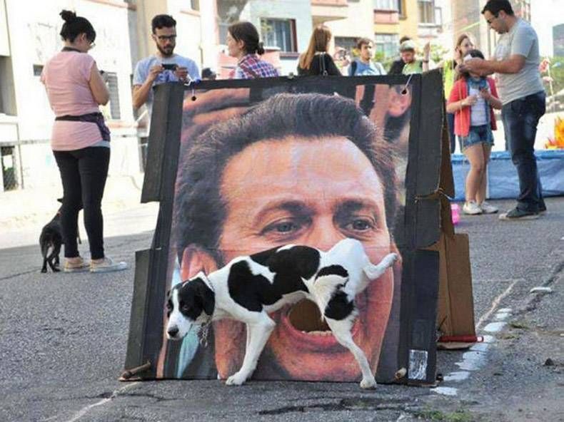 Gewoon een verzameling hilarische foto's #1097
