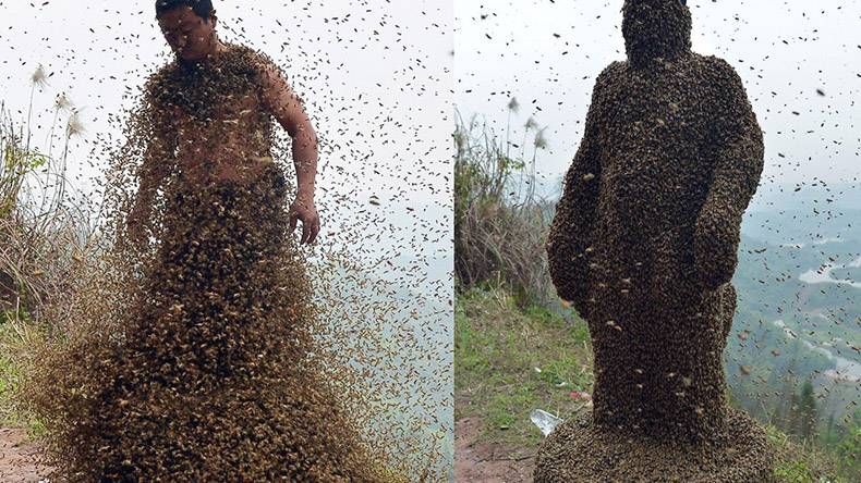 Gewoon een verzameling hilarische foto's #1009