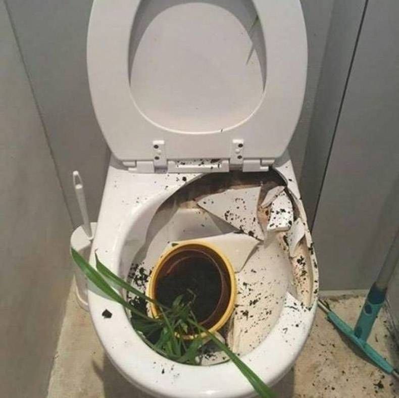 Gewoon een verzameling hilarische foto's #985